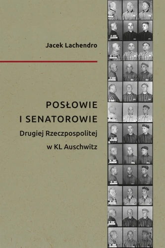 Prezentowany obraz jest okładką wydawniczą książki