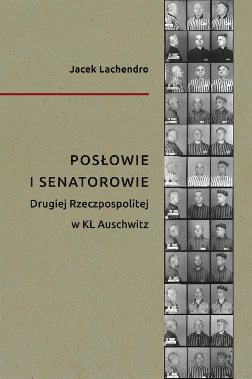 Prezentowany obraz jest okładką wydawniczą książki