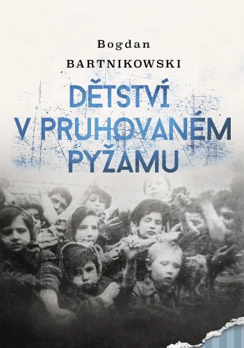 The presented image shows the book’s cover design