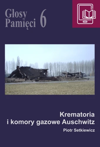 Prezentowany obraz jest okładką cyfrową e-booka