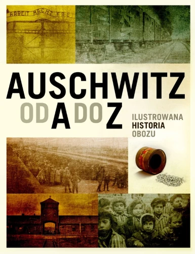 Prezentowany obraz jest okładką wydawniczą książki
