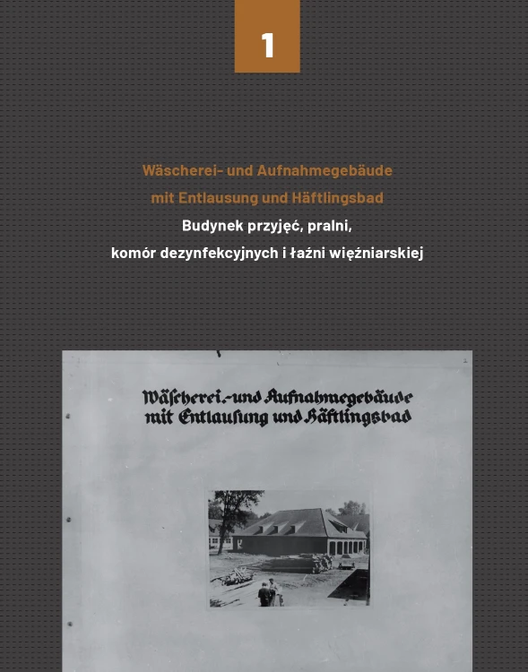 Kilka stron z książki