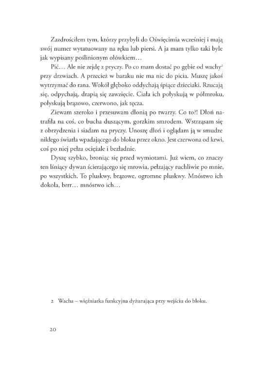 Kilka stron z książki