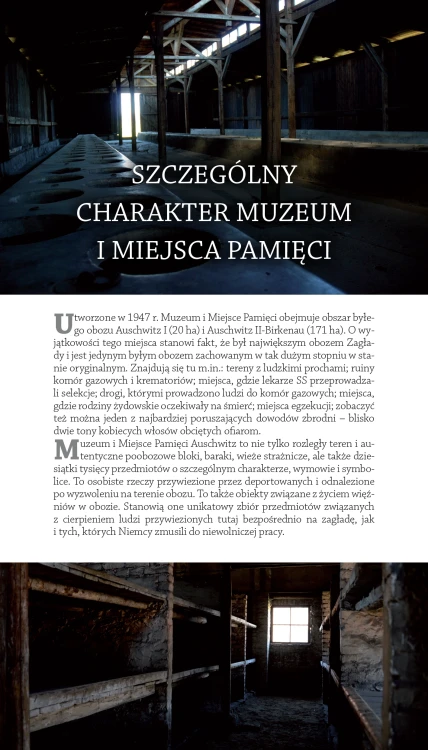 Prezentowany obraz jest częścią książki