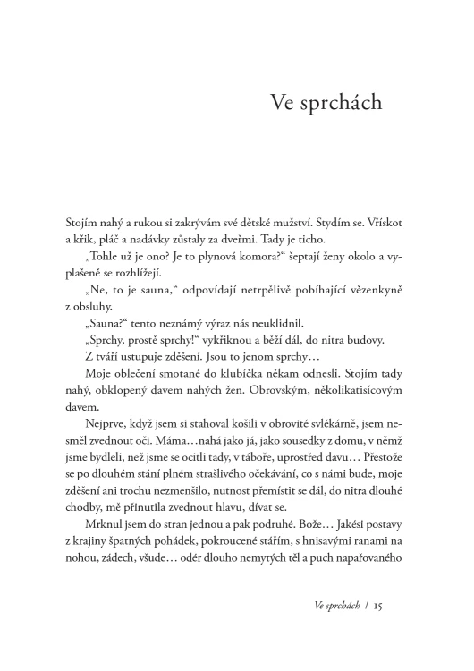 The presented image shows the book’s cover design