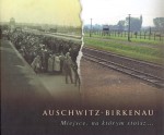 Paweł Sawicki - Auschwitz-Birkenau. Miejsce, na którym stoisz