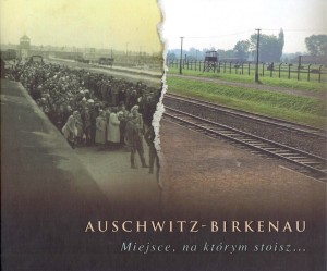 Paweł Sawicki - Auschwitz-Birkenau. Miejsce, na którym stoisz
