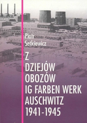 Prezentowany obraz jest okładką wydawniczą książki