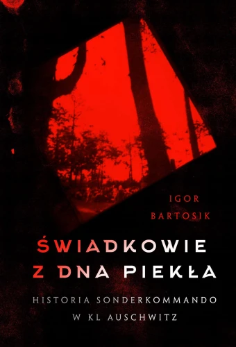 Prezentowany obraz jest okładką wydawniczą książki
