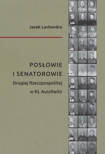 Prezentowany obraz jest okładką wydawniczą książki
