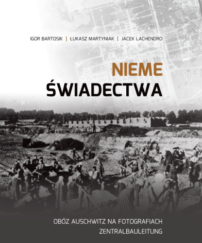 Prezentowany obraz jest okładką wydawniczą książki