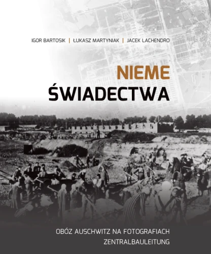 Prezentowany obraz jest okładką wydawniczą książki